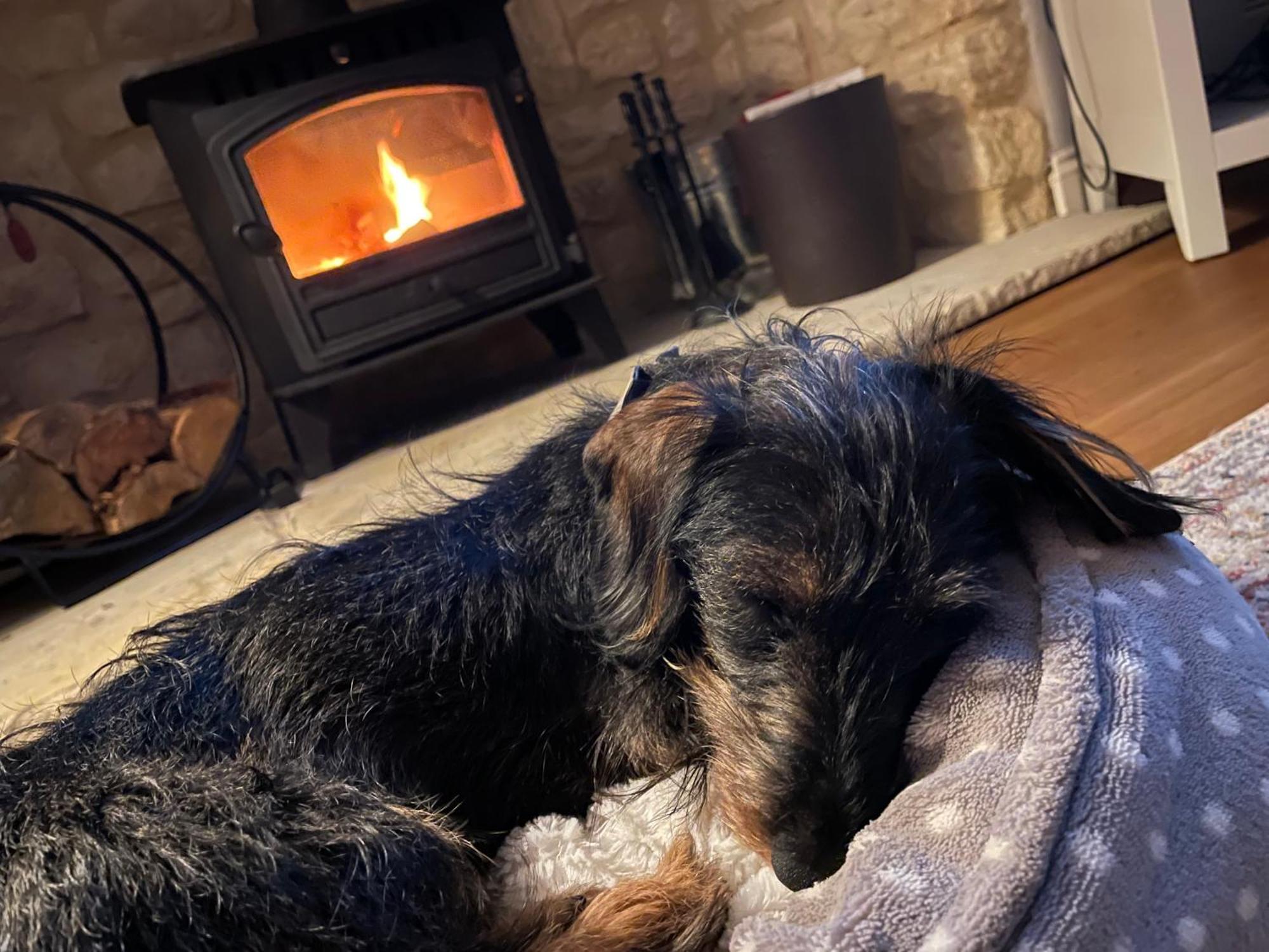 Cosy Cotswold Lodge By Your Home Here - Summer Sale For 3 Plus Nights - Ideal For Families With Log-Burner, Spa, Private Parking And Heated Swimming Pools Ashton Keynes Esterno foto